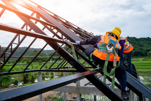 Best Roof Waterproofing Services  in Winnebago, IL