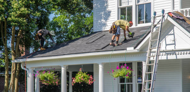 Professional Roofing Contractor in Winnebago, IL